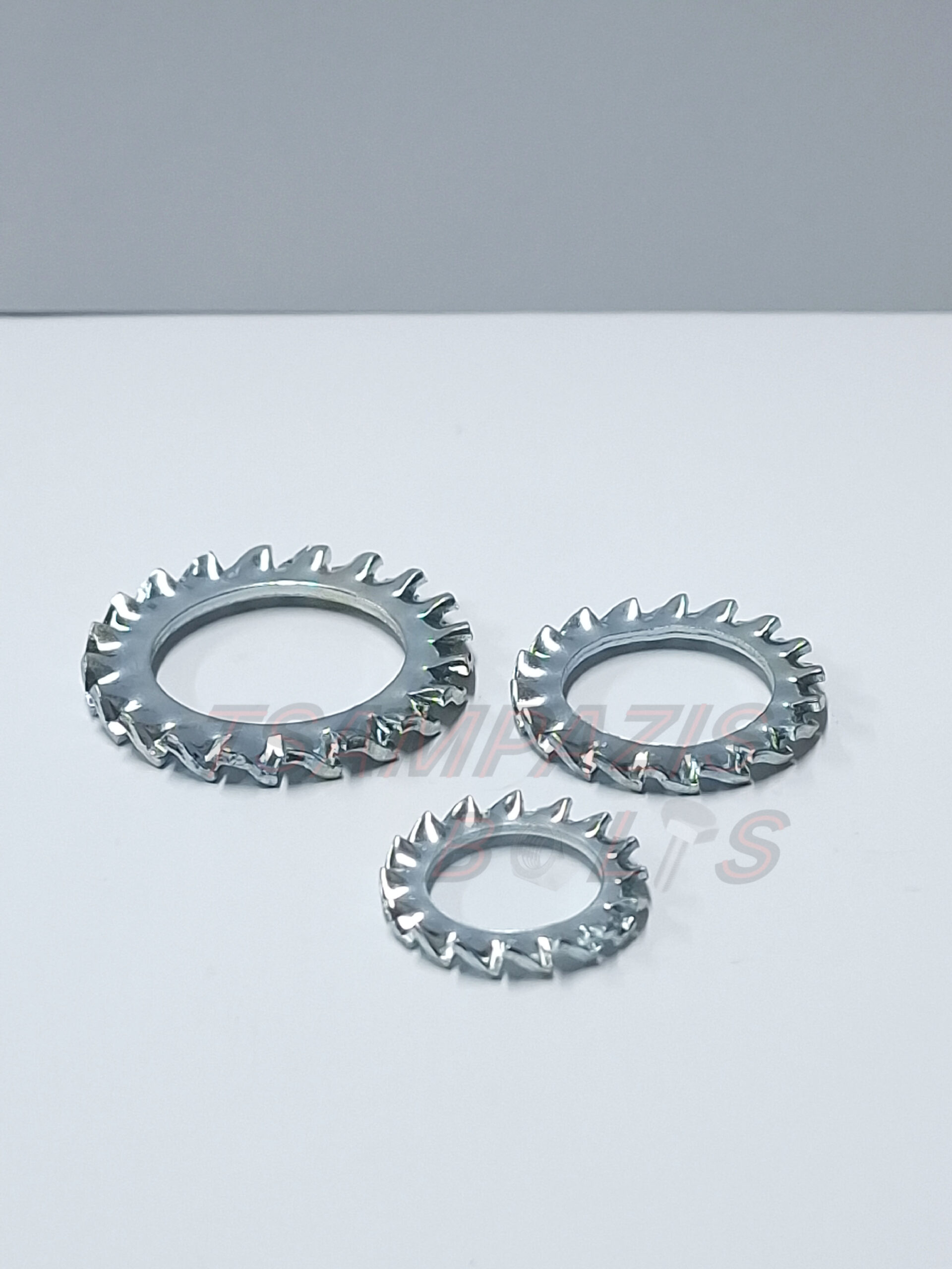 20250213_101106 αστερακ